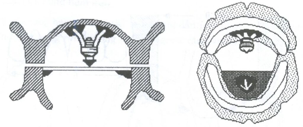 Răng hàm mặt